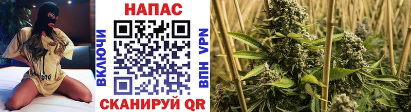 где купить наркоту  OMG как зайти  Бошки Шишки White Widow  Данилов 